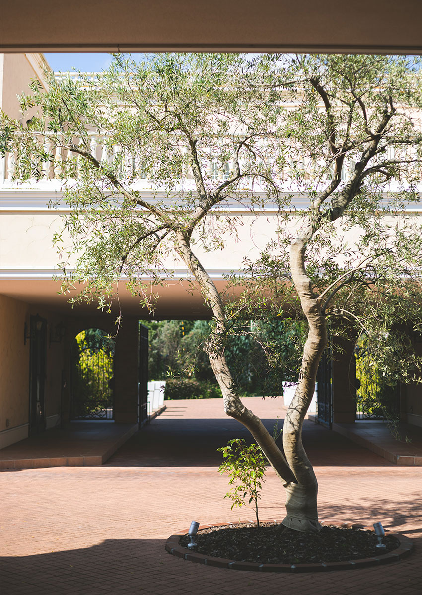 ヴィラデマリアージュ