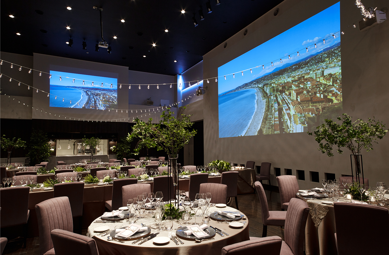 ヴィラデマリアージュ