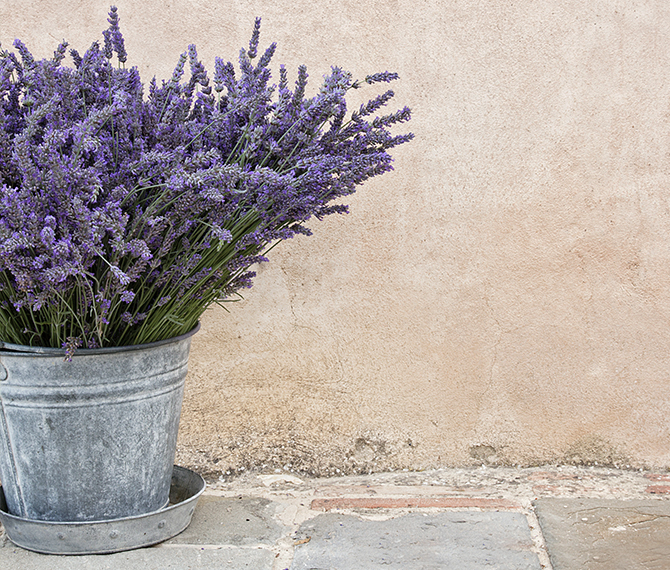 ヴィラデマリアージュ