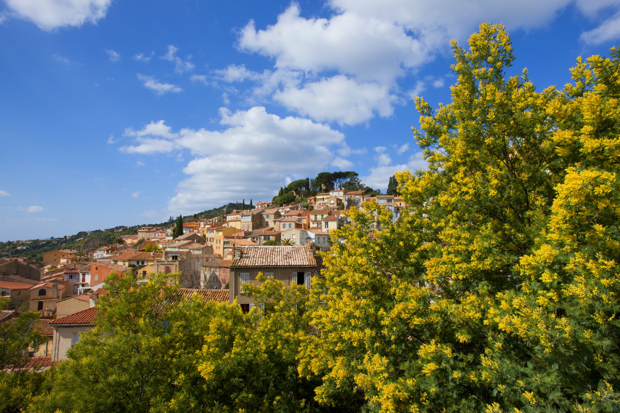 ヴィラデマリアージュ